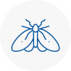 Moth Control Specialists In Lancing